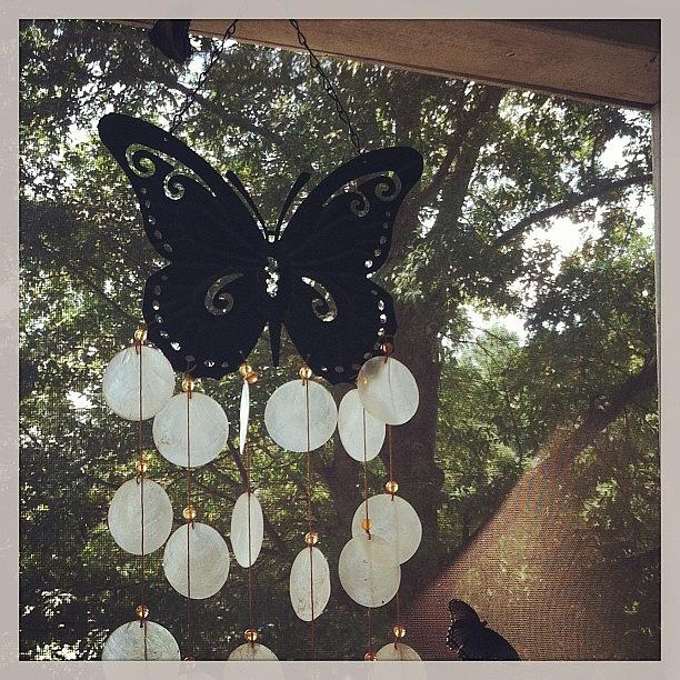 The Butterflies Love My New Wind Chime Photograph by Lauren Simmons