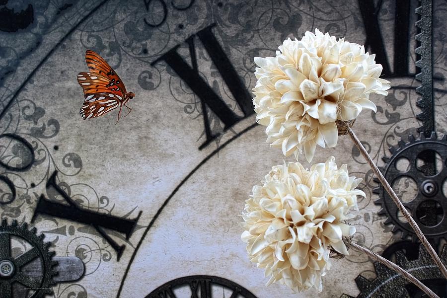 The Butterfly Effect Photograph by Chrystyne Novack
