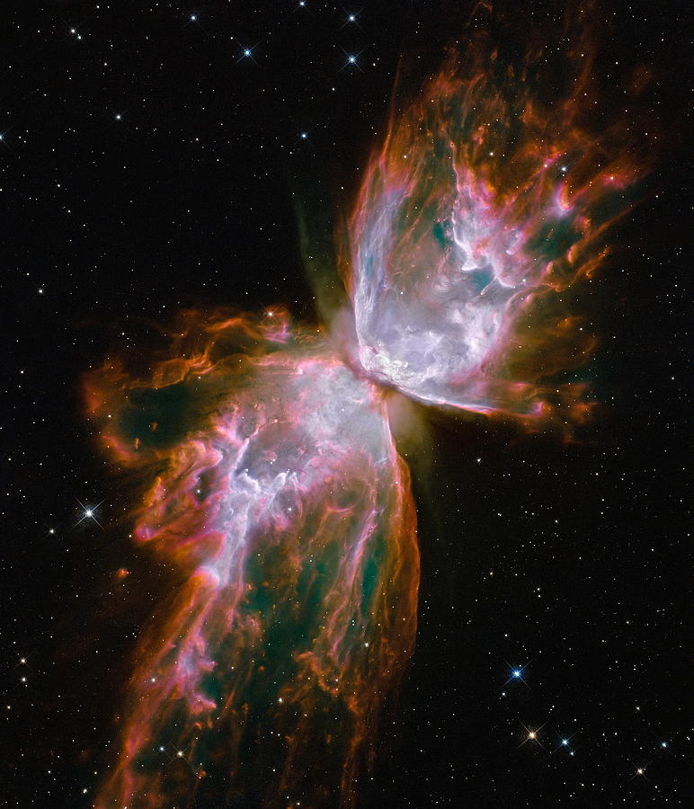 The Butterfly Nebula Photograph by Eric Glaser