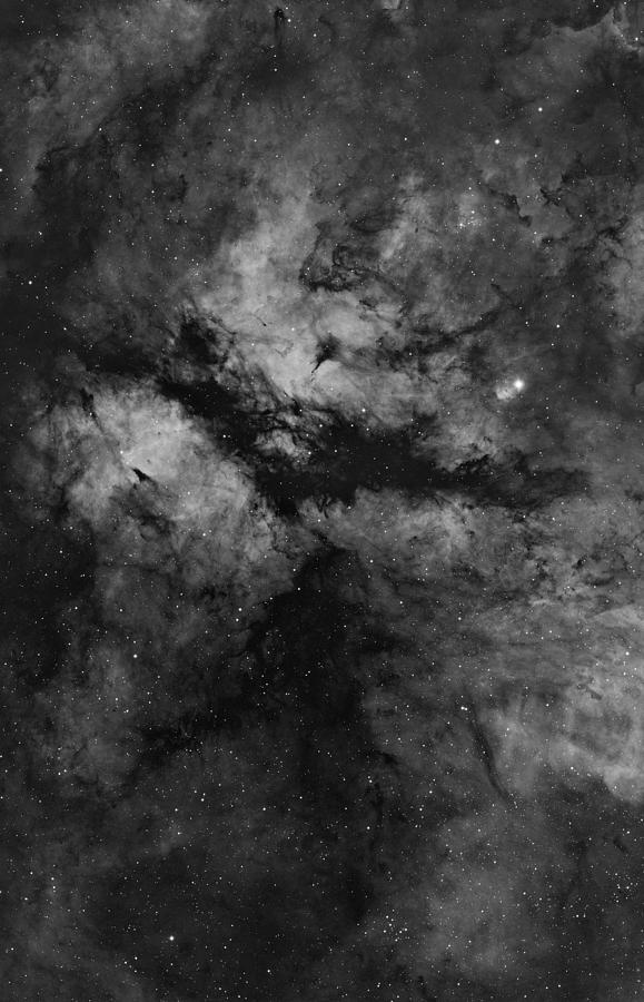 The Butterfly Nebula In Mono Photograph