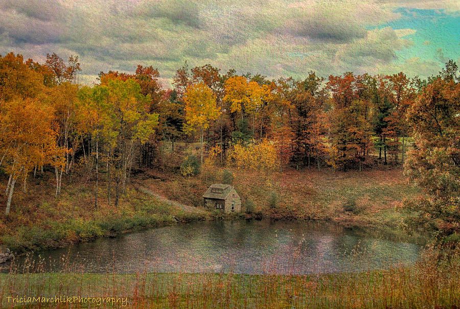 The Cabin in Fall Photograph by Tricia Marchlik