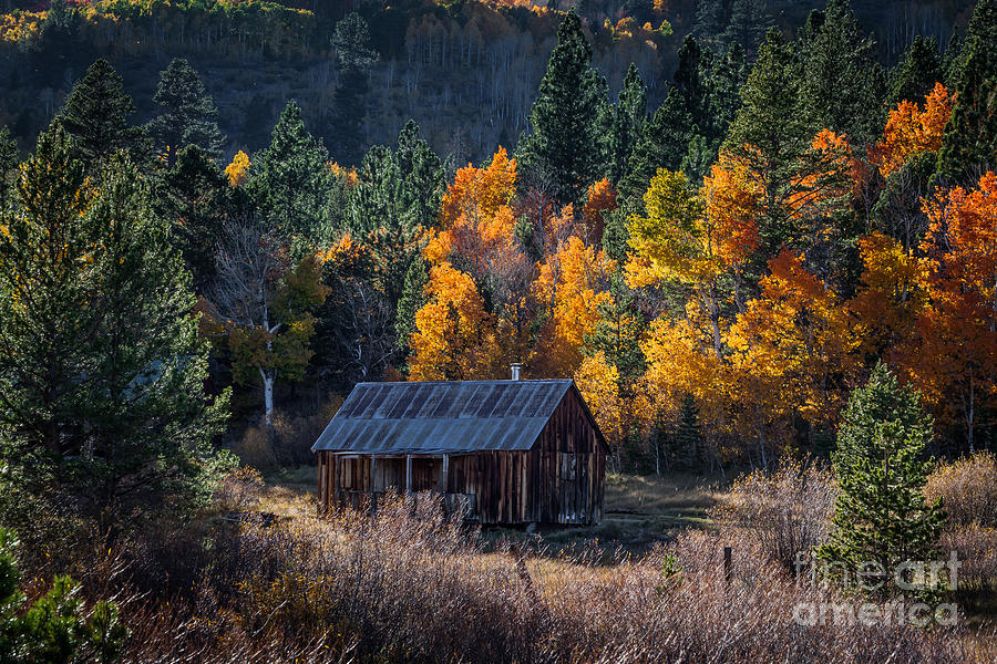 The Cabin Photograph by Webb Canepa - Fine Art America