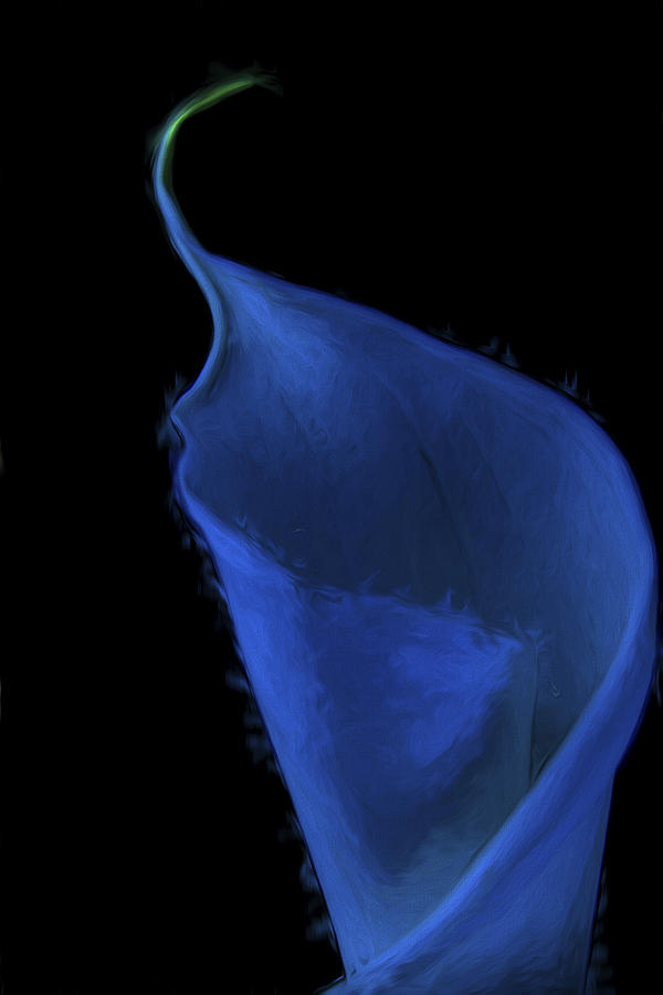 The Calla Lily Flower Painted Digitally in Blue Green Photograph by David Haskett II