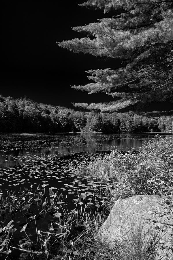 Black And White Photograph - The Calm of Cary Lake by David Patterson