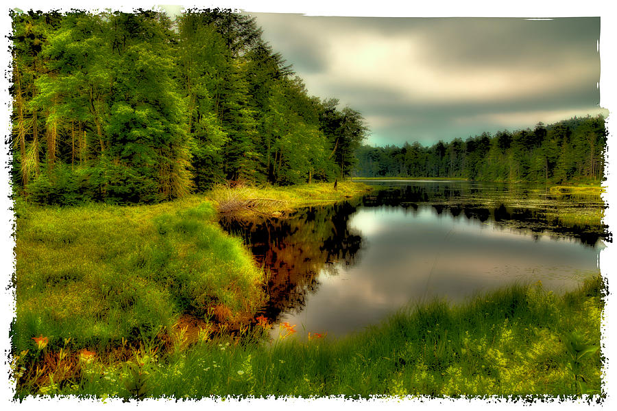The Calm of Fly Pond Photograph by David Patterson