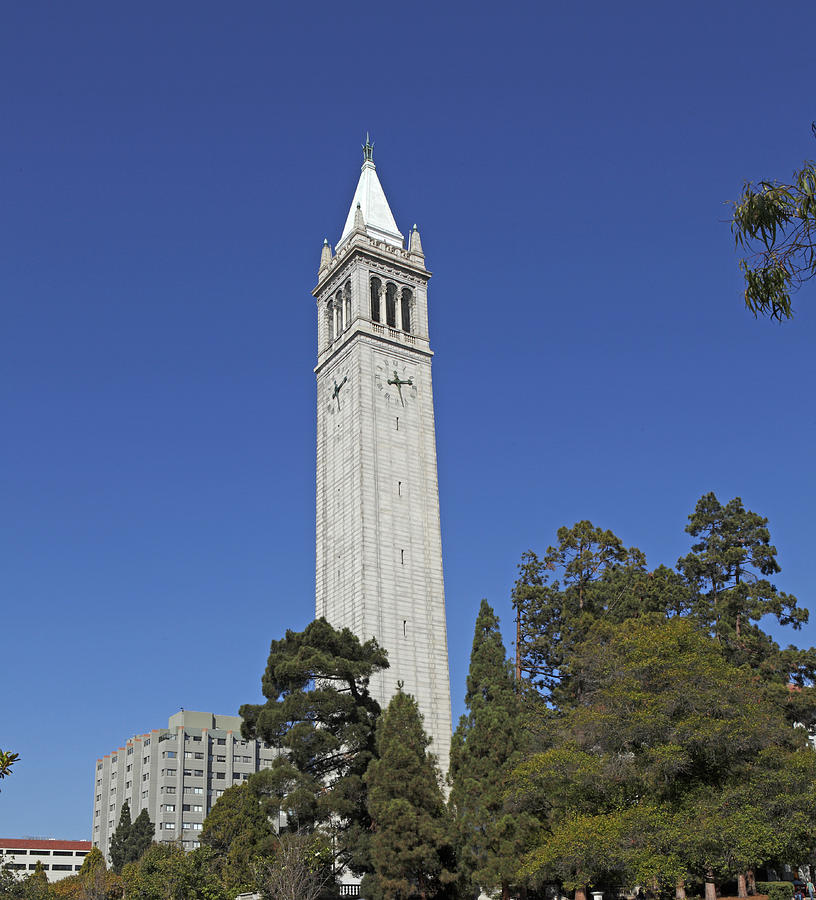 The Campanile At The University of California, Berkeley Photograph by Dny59