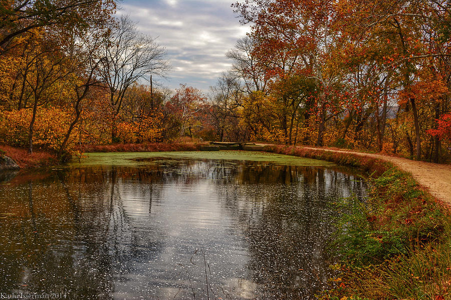 The Canal in Autumn Photograph by Kathi Isserman