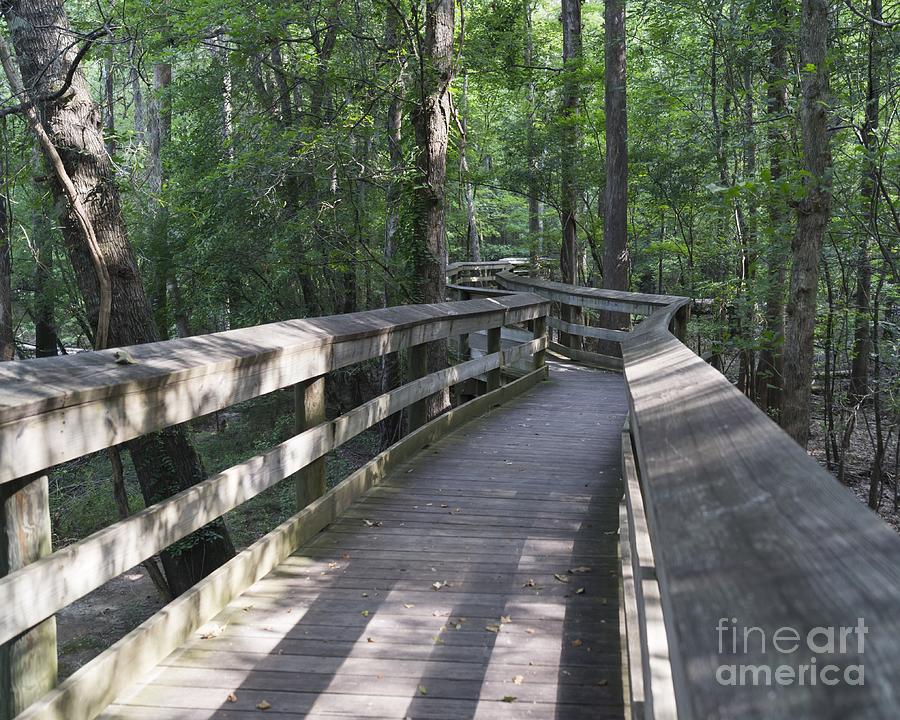 The Boardwalk at Lynches River Park Photograph by MM Anderson