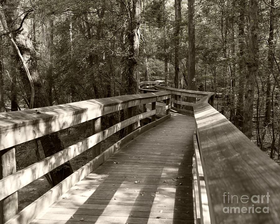 The Boardwalk at Lynches River Park Sepia Photograph by MM Anderson