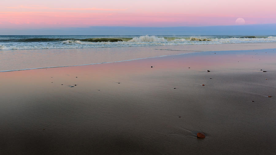 The Cape Cod National Seashore Photograph by Bill Wakeley