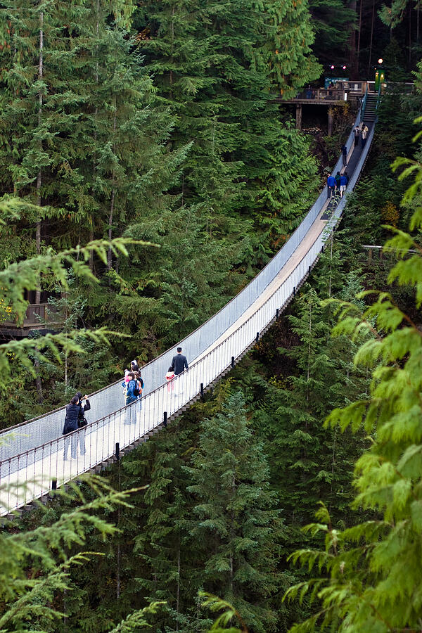 The Capilano Suspension Bridge in North Vancouver Photograph by Michael Russell