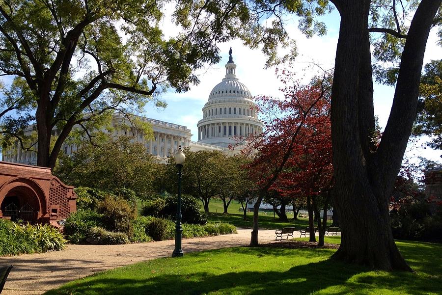 Washington D.c. Photograph - The Capitol Building  by Lois Ivancin Tavaf