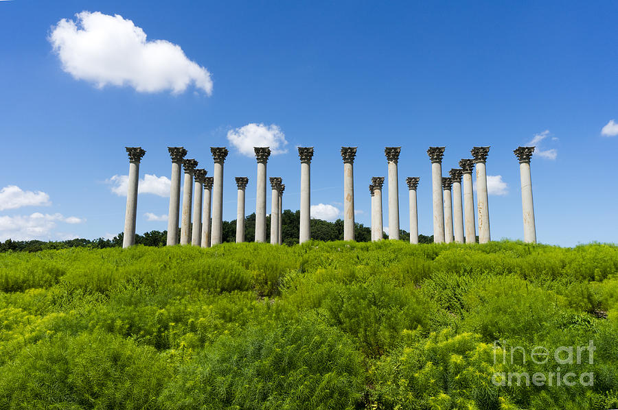 The Capitol Columns at the National Arboretum in Washington DC Photograph by William Kuta
