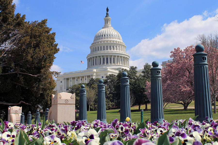 The Capitol in Spring Photograph by Saya Studios