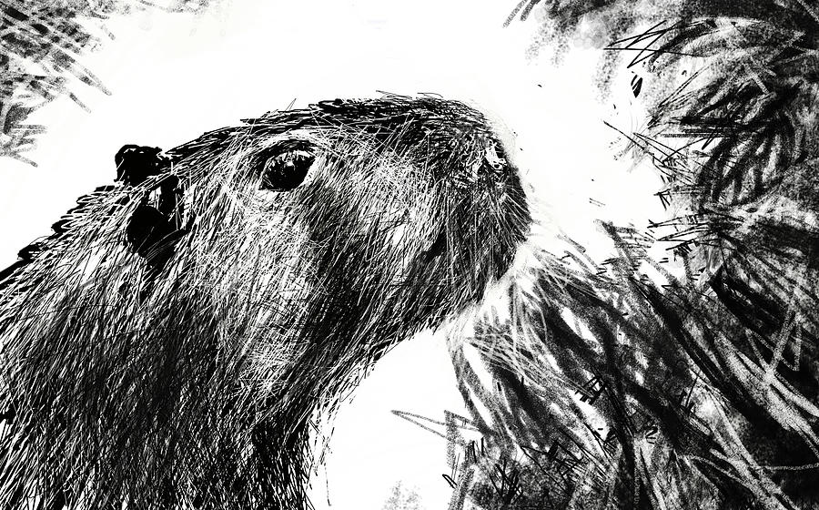 The Capybara  Digital Art by Paul Sutcliffe