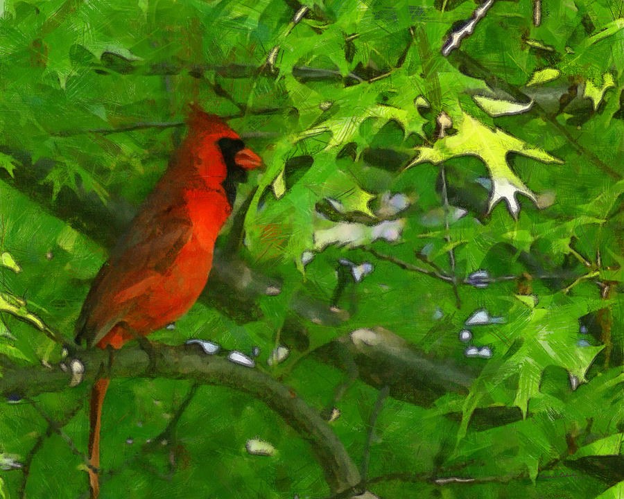 The Cardinal 2 Painterly Digital Art by Ernest Echols