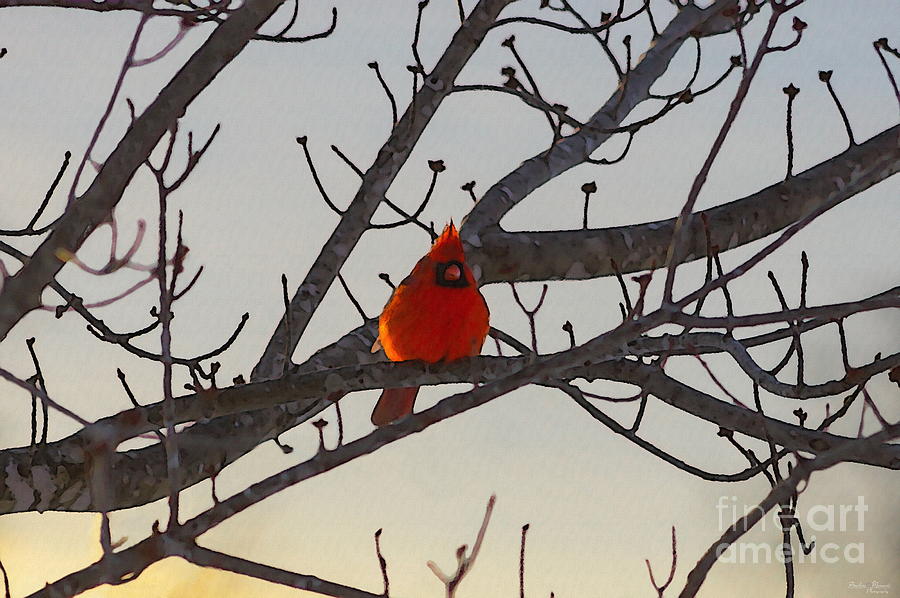 The Cardinal in the Morning Mixed Media by Jennifer White