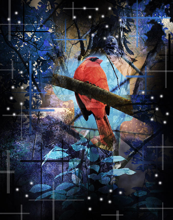Cardinal Photograph - The Cardinals Land In Blue by Andrew Sliwinski