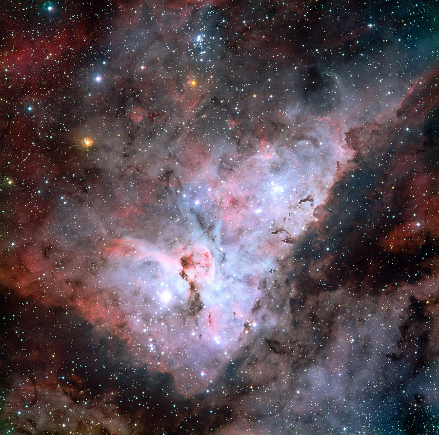The Carina Nebula Photograph by Celestial Images