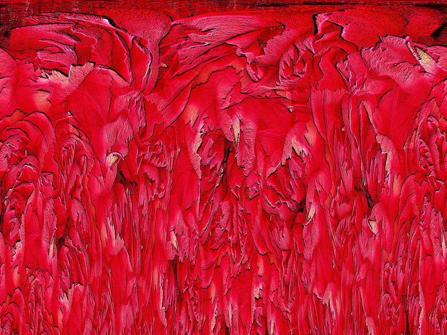 The Carnation Unleashed 2 Digital Art by Tim Allen