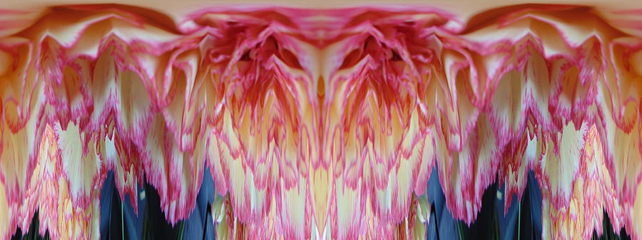 The Carnation Unleashed 3 Digital Art by Tim Allen