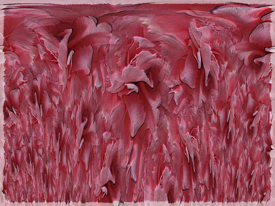 Tim Allen Digital Art - The Carnation Unleashed by Tim Allen