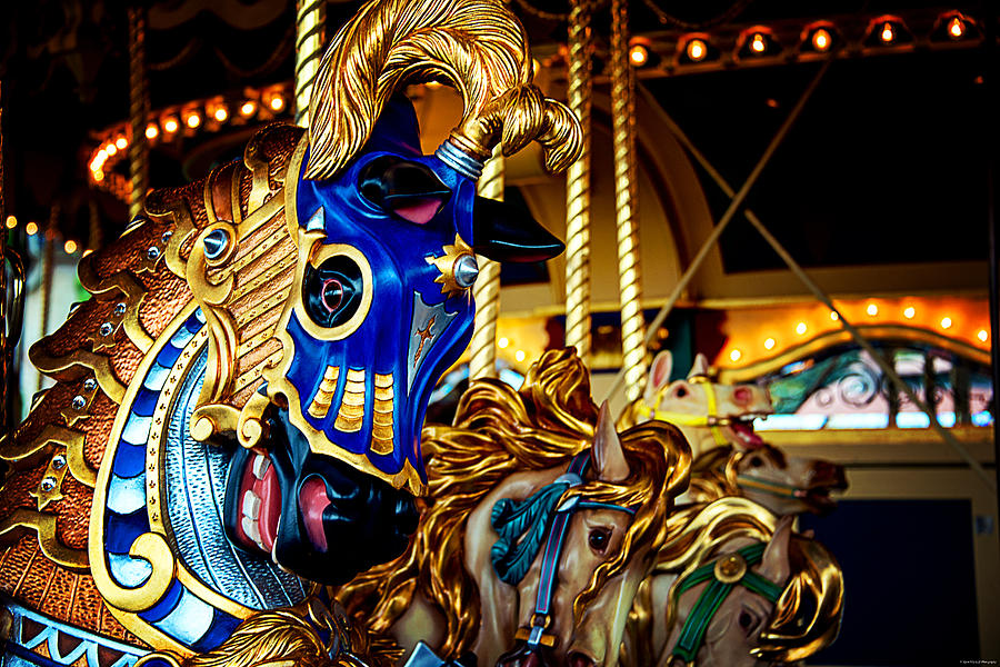 The Carousel Horse Photograph by Ryan Wyckoff