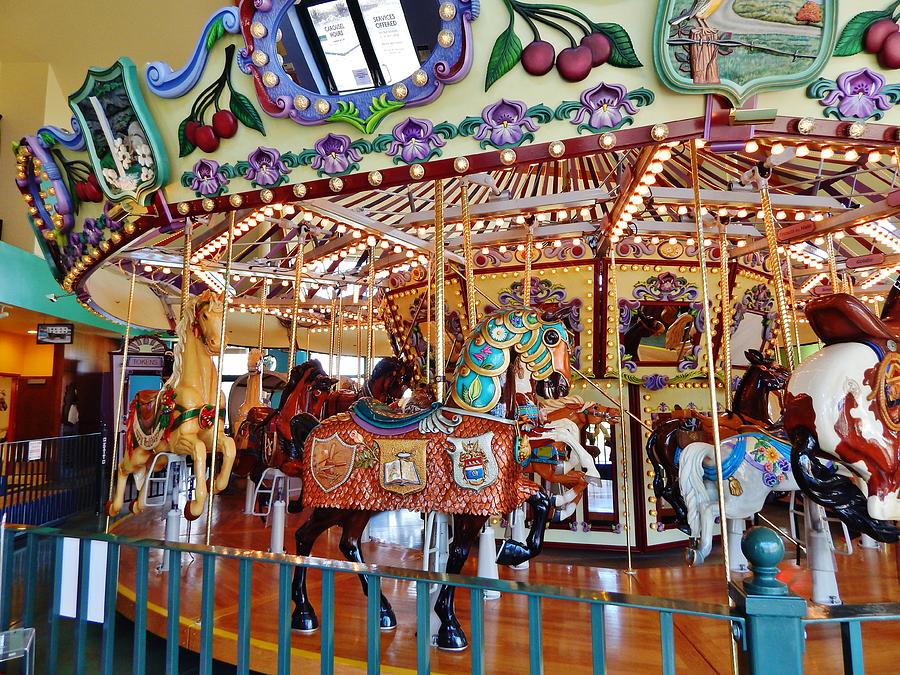 The Carousel Ride Photograph by VLee Watson