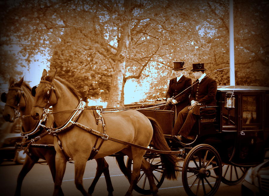 The Carriage Ride Photograph by Toni Abdnour - Fine Art America