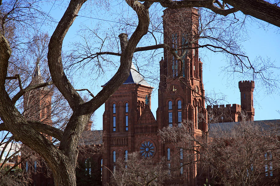 The Smithsonian Castle Behind Trees Photograph by Cora Wandel