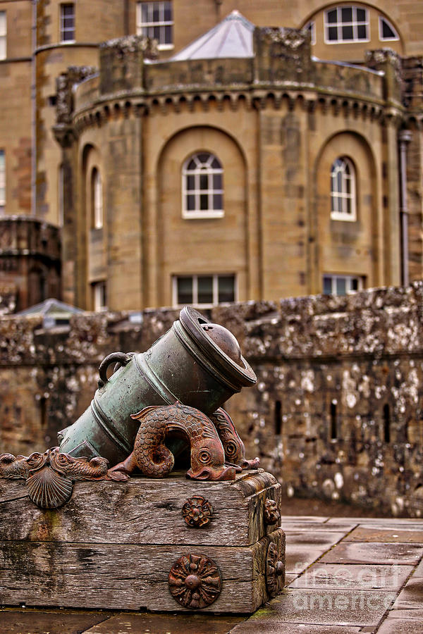 The Castle Cannon Photograph by Kate Purdy