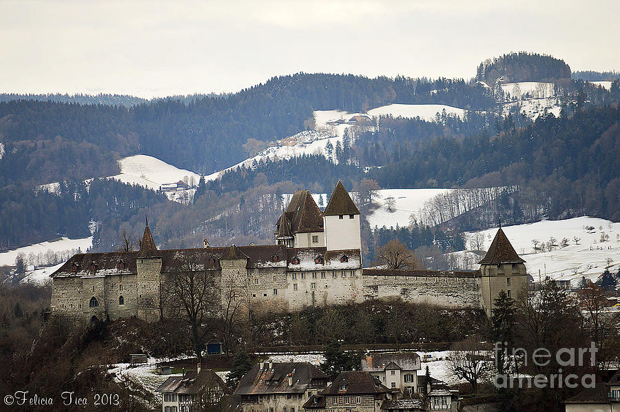The Castle in winter look Photograph by Felicia Tica
