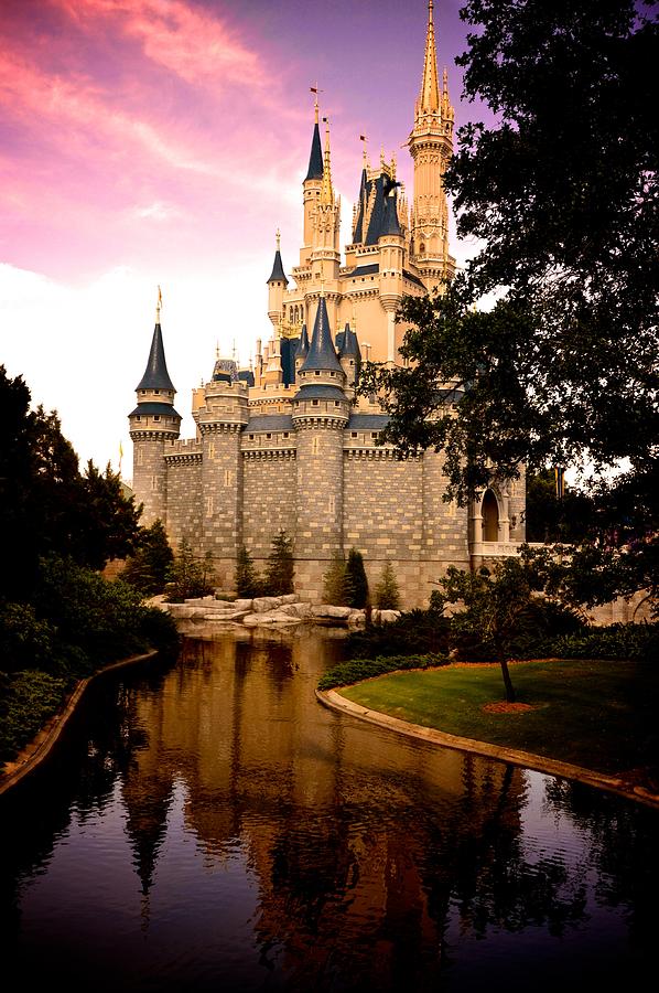 The Castle Photograph by Michael Albright