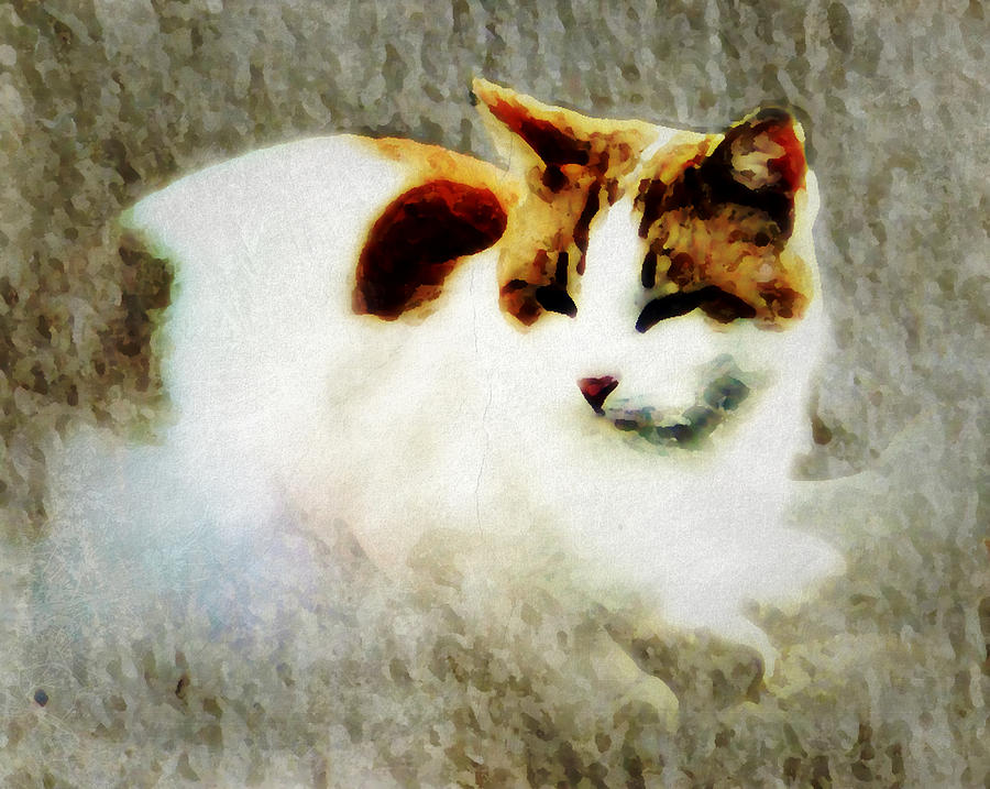 The Cat Digital Art by Sophia Gaki Artworks