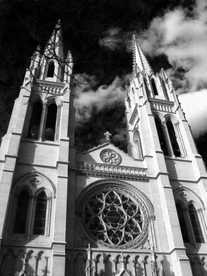 The Cathedral Basilica of the Immaculate Conception 1 BW Photograph by Angelina Tamez