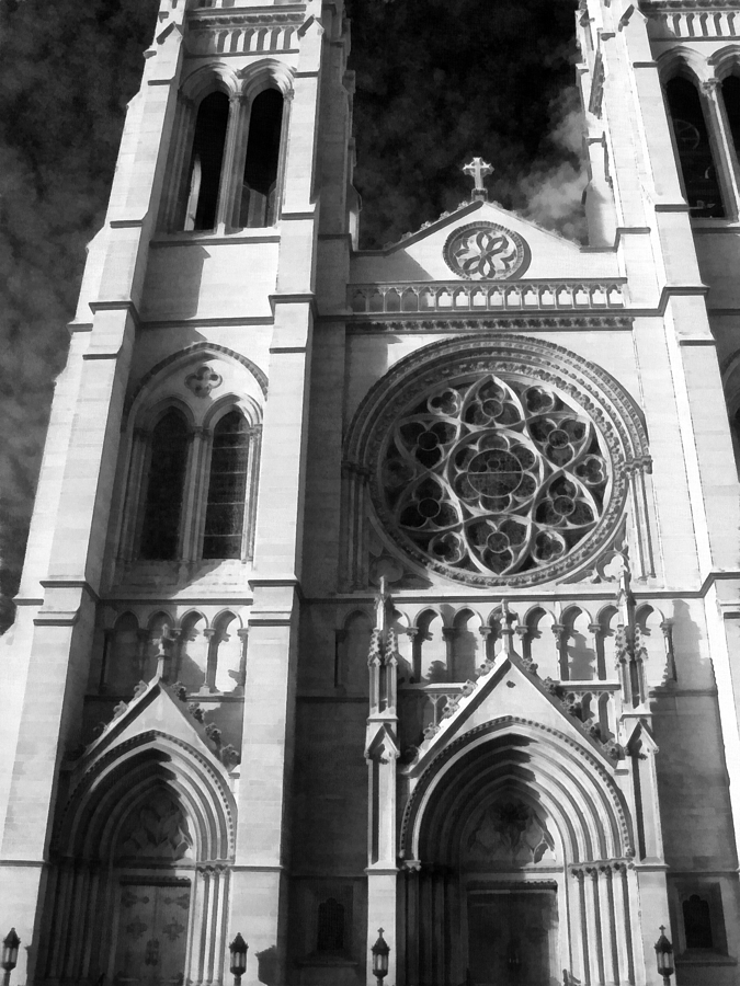 The Cathedral Basilica of the Immaculate Conception 3 BW Photograph by Angelina Tamez