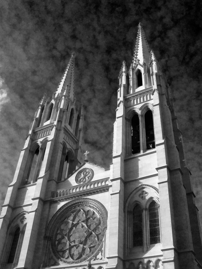 The Cathedral Basilica of the Immaculate Conception 4 BW Photograph by Angelina Tamez