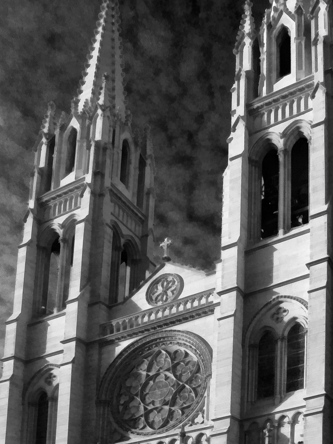 The Cathedral Basilica of the Immaculate Conception 5 BW Photograph by Angelina Tamez