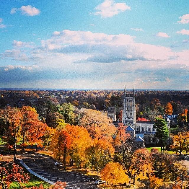 Fall Photograph - The Cathedral #fall #autumn #church by Philip Grant