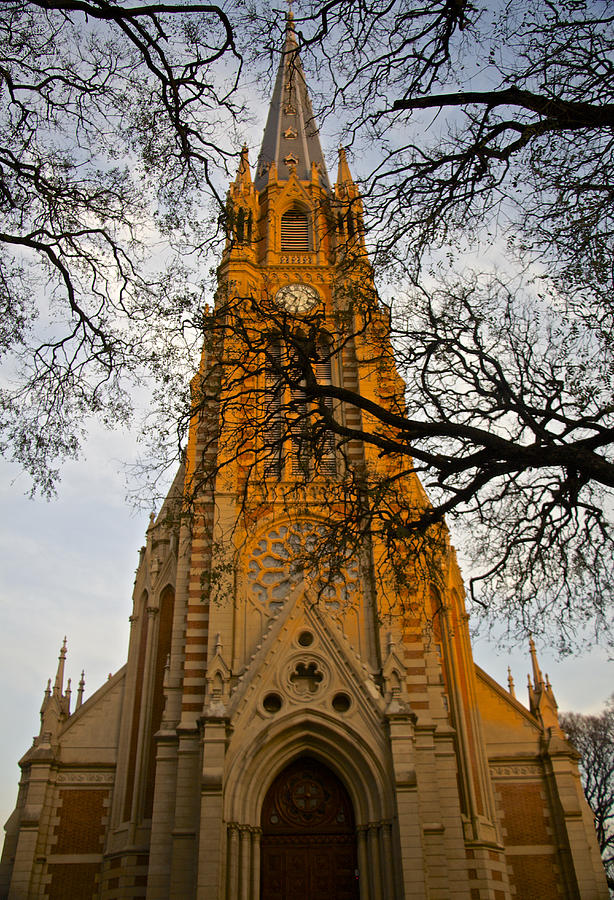 The Cathedral of San Isidro Photograph by Venetia Featherstone-Witty
