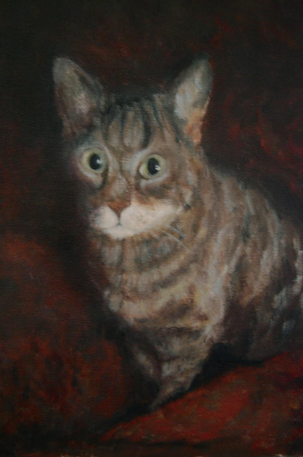 The Cat's Eyes Painting by Joan Glinert - Fine Art America