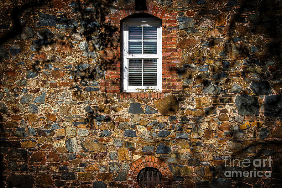 The Cellar Window Photograph by Mitch Shindelbower