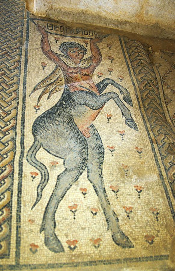The Centaur Mosaic Photograph by Photostock-israel