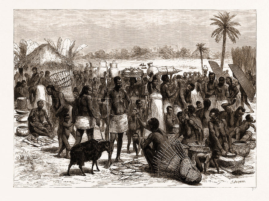 The Central African Expedition Soko Or Market At Kawele Drawing By Litz 