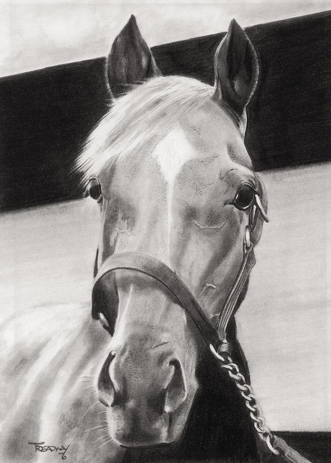 The Champion Drawing by Paul Treadway
