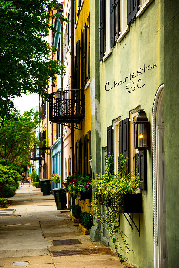 The Charm Of Charleston Photograph by Karol Livote