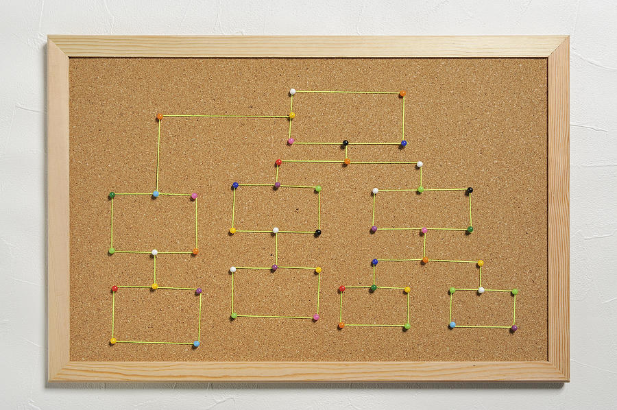 The chart made in the cork board Photograph by Yagi Studio