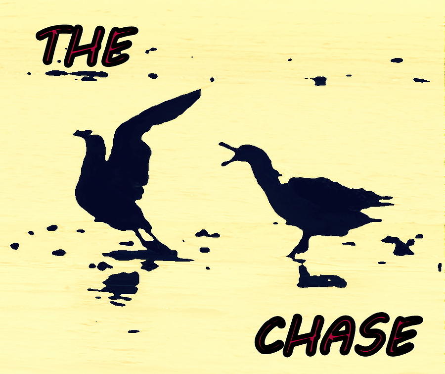 The Chase Photograph by Pamela Hyde Wilson