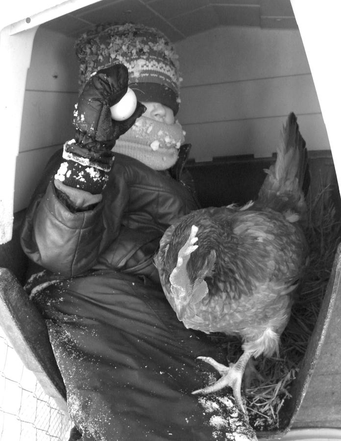 The Chicken And the Egg in Black and White Photograph by Sheri Lauren