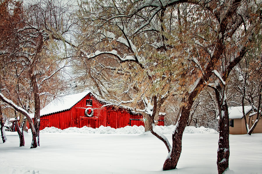 The Christmas Barn Photograph by Teri Virbickis